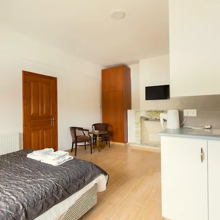 Villa Nine Bedroom With Swimming Pool And Lift Larnaca