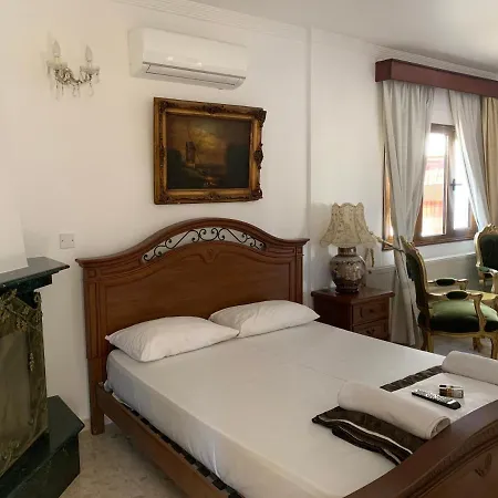 Villa Nine Bedroom With Swimming Pool And Lift Larnaca